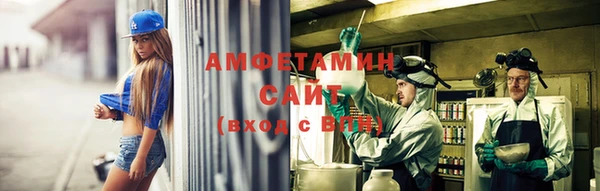 прущие грибы Володарск