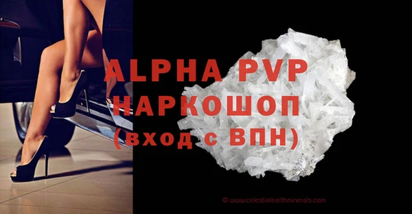 прущие грибы Володарск