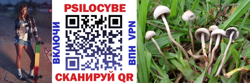 Купить Медногорск Галлюциногенные грибы GOLDEN TEACHER